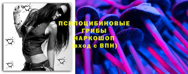 ешки Абинск