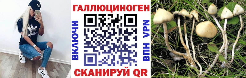 Галлюциногенные грибы Cubensis  Нерчинск 